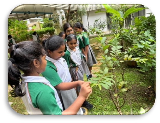 Students exploring plants during an outdoor Tamil language learning activity.