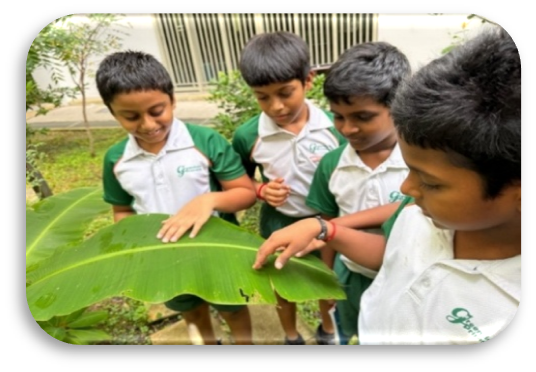 Students observing a banana leaf during an outdoor learning activity.